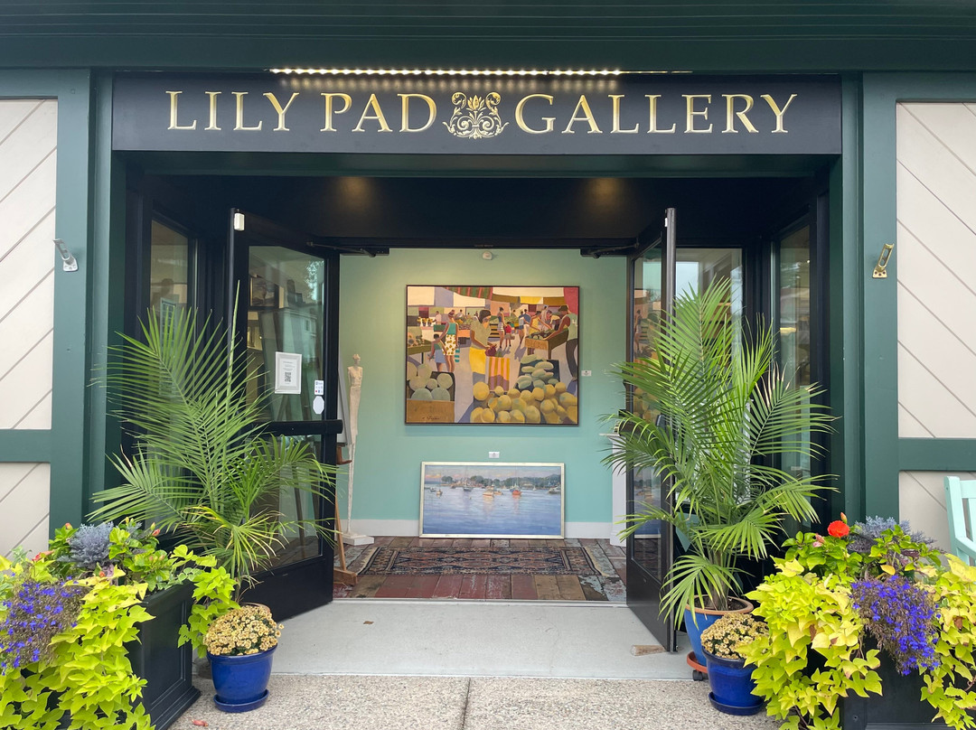Lily Pad Gallery