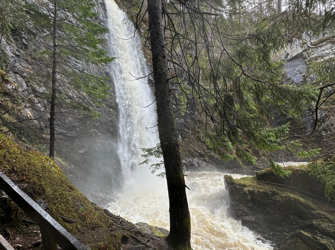 Plodda Falls-Tomich必去景点