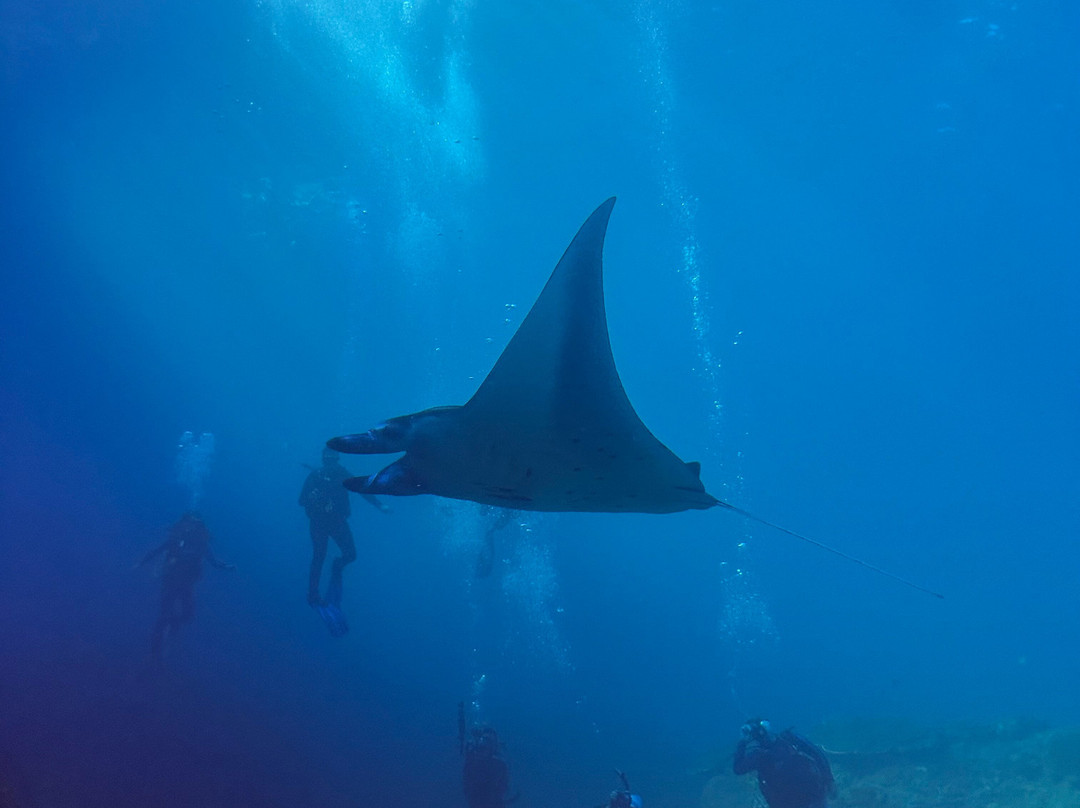 Noosa Dive Resort-Ped必去景点