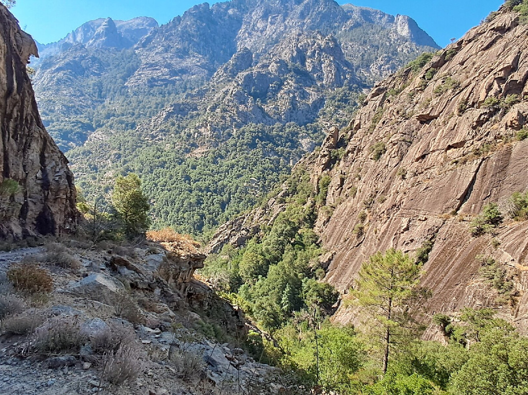 La Forêt De Bonifato-Calenzana必去景点