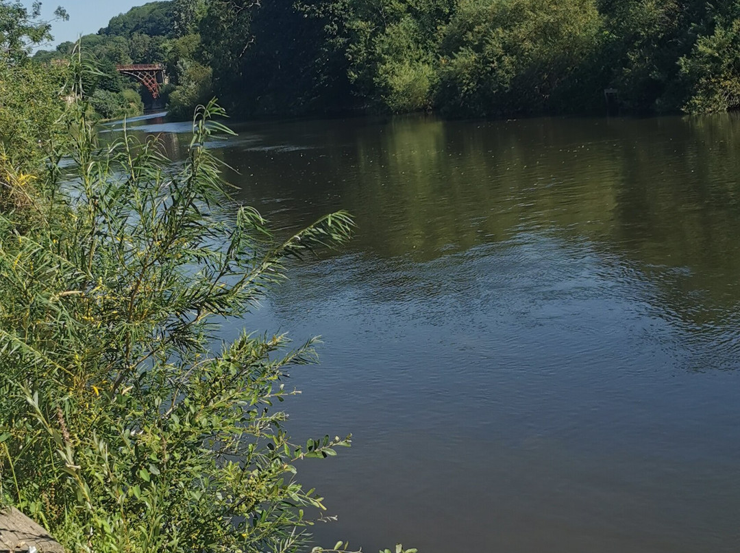 Ironbridge Gorge Walking Tours: The Professor's Original-Ironbridge必去景点