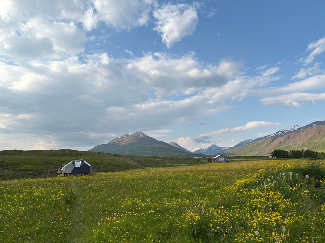 North Fjord Kayak - Tandem Sea Kayak Tours-阿克雷里必去景点