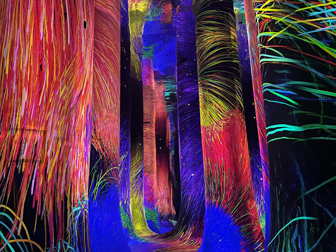 teamLab Phenomena Abu Dhabi-阿布扎比必去景点