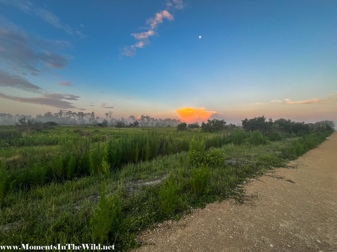 Spirit of the Wild Wildlife Management Area