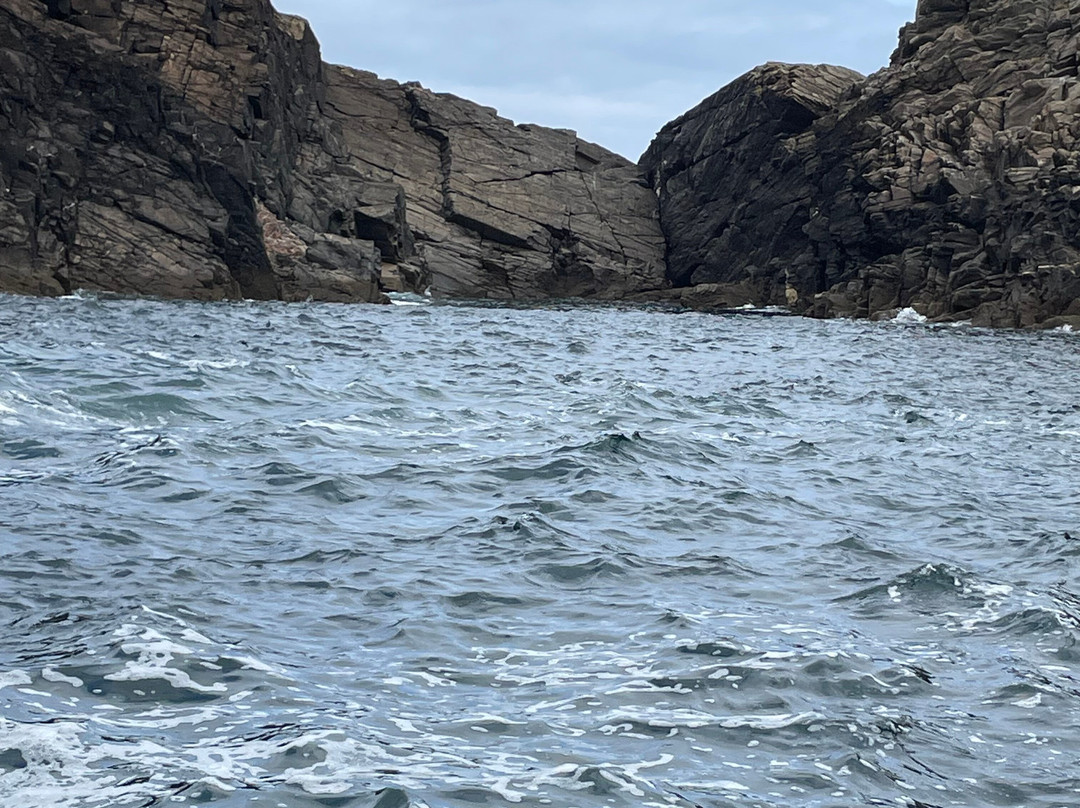 Blacksod Sea Safari-Belmullet必去景点