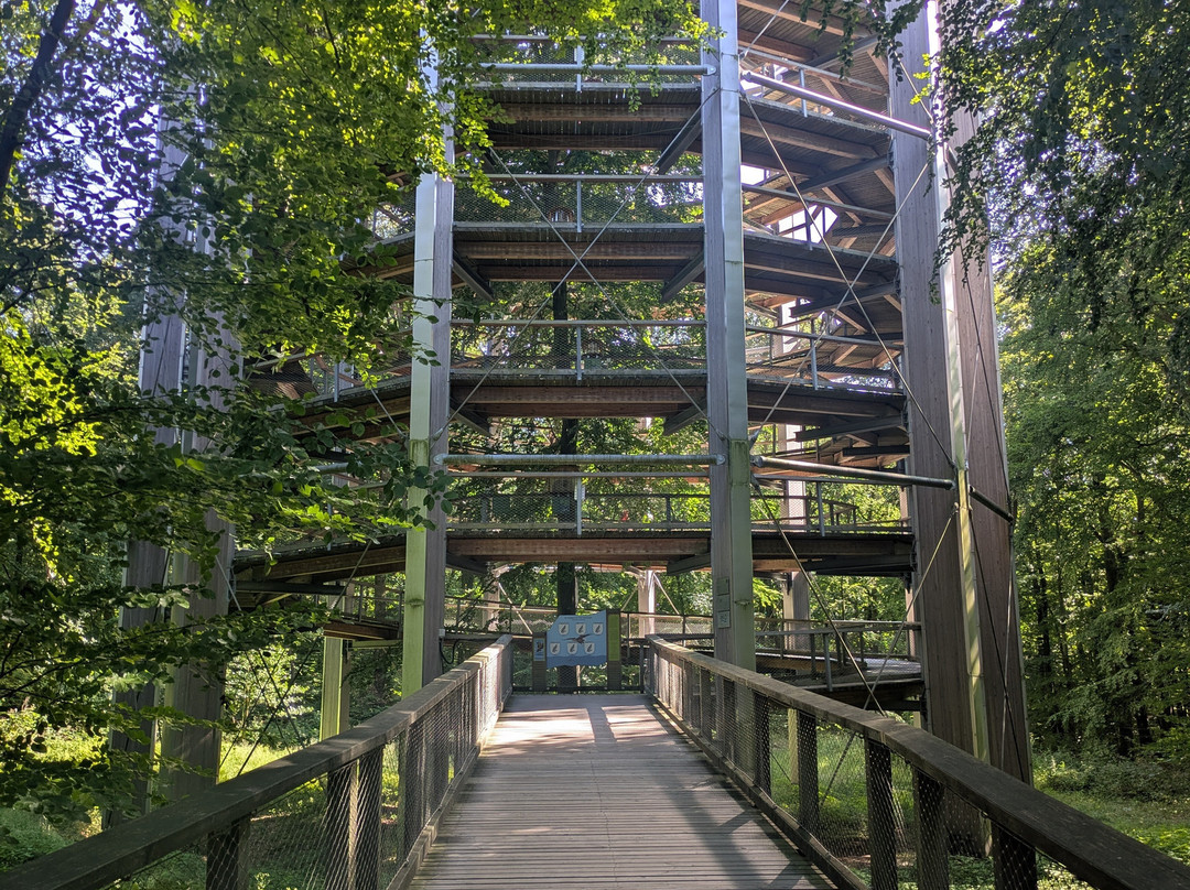 Baumwipfelpfad im Naturerbe Zentrum Rügen-奥茨巴德宾兹必去景点