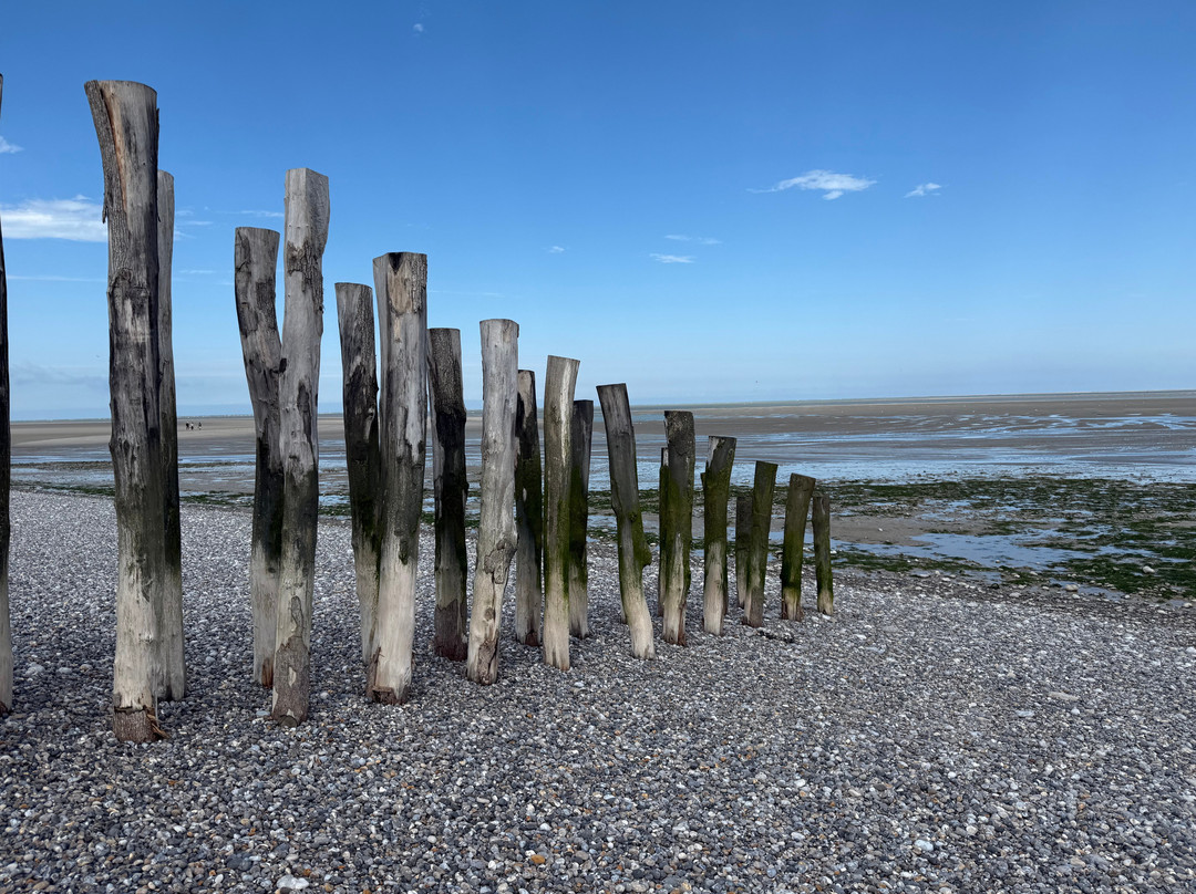 Baie de Somme-Somme必去景点