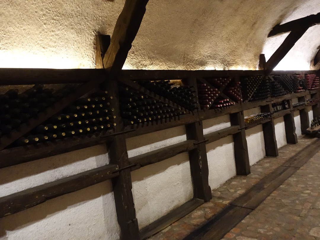 Wineshop “Winery Khareba”-Kvareli必去景点