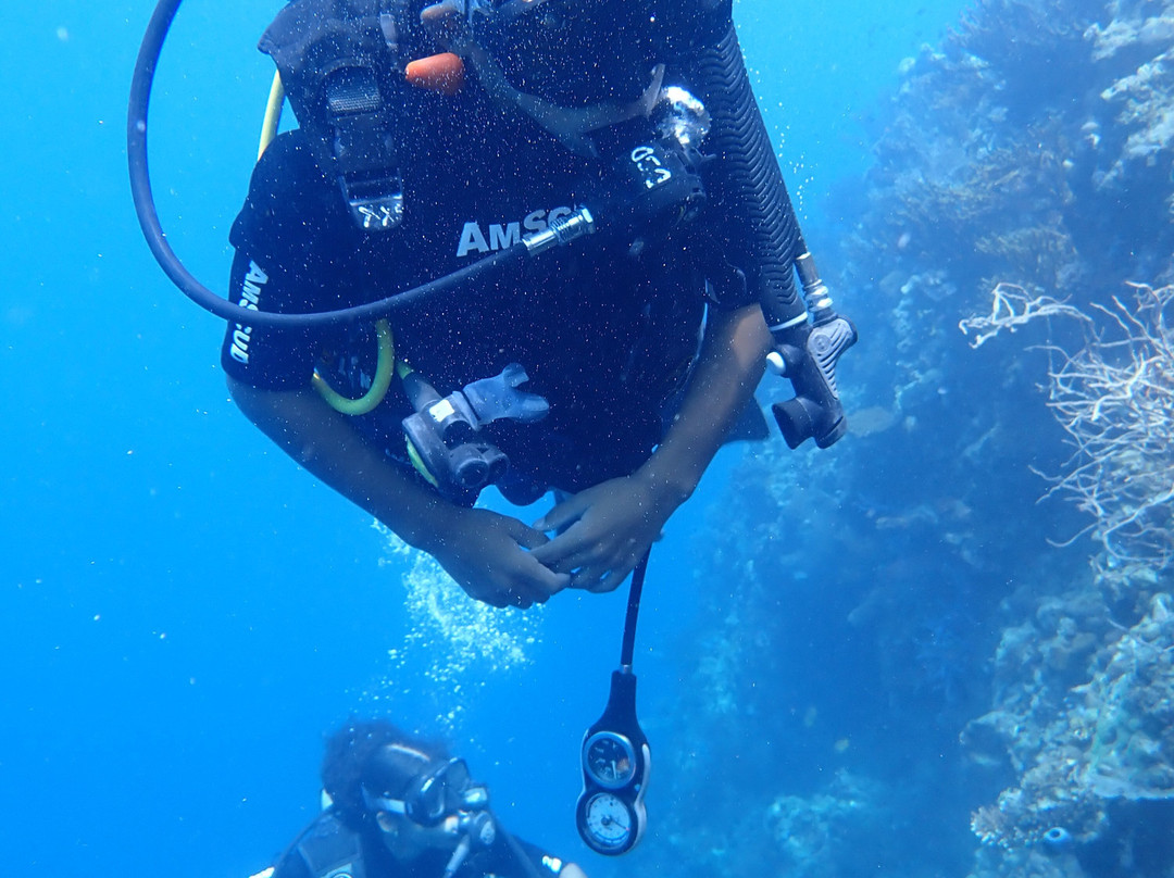 Menjangan Tour Snorkeling & Diving-Pejarakan必去景点