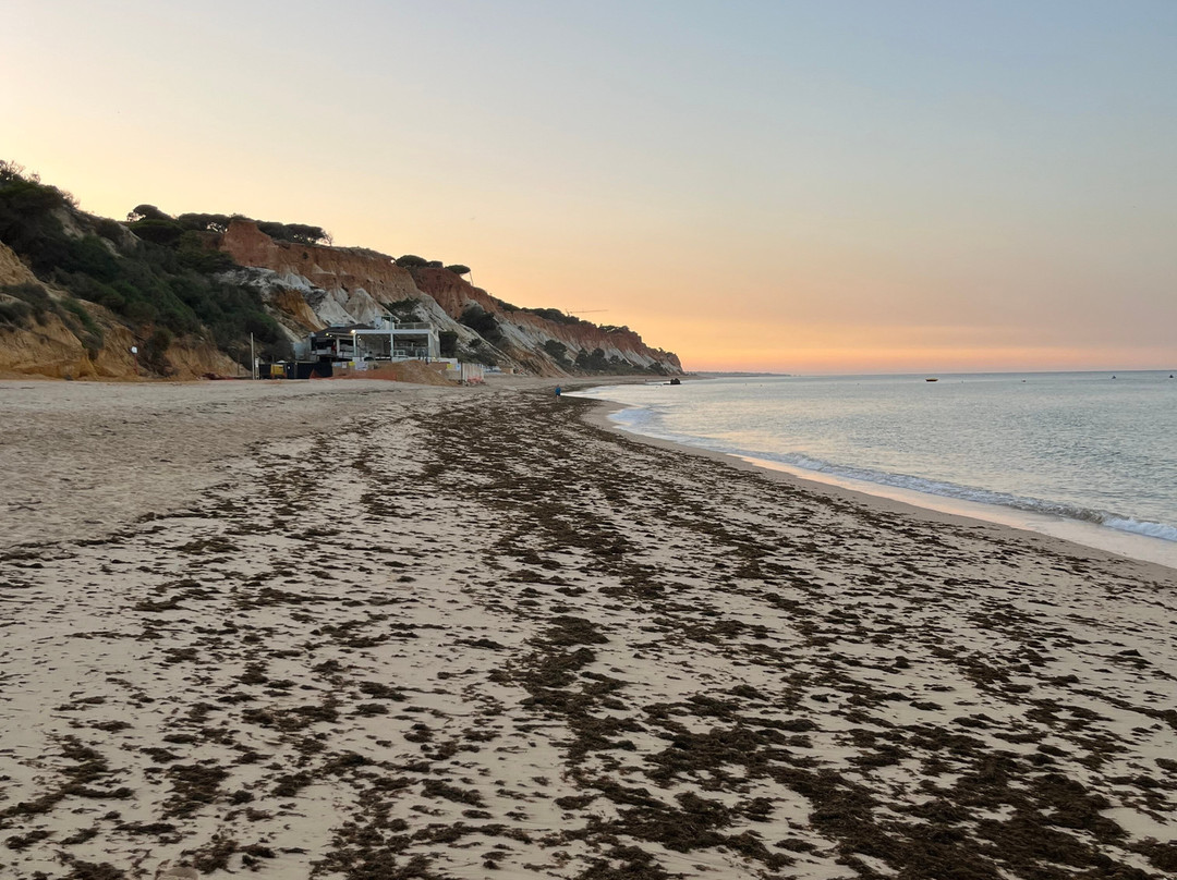 Centro Histórico de Albufeira-阿尔布赞拉必去景点