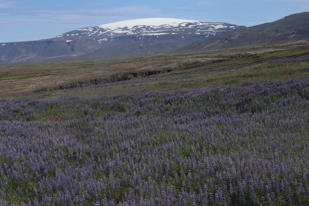 Langjokull Glacier-南部地区必去景点