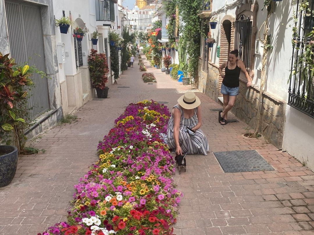 Estepona Town-埃斯特波纳必去景点