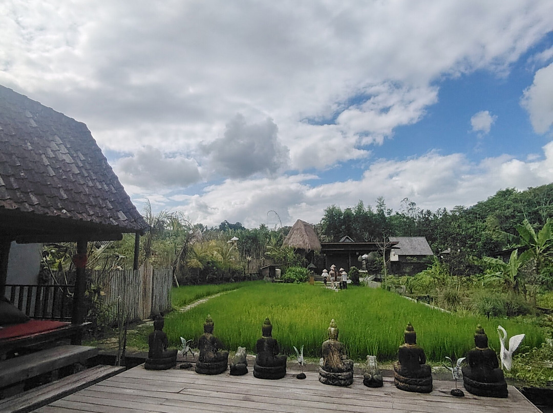 Anandinii Organic Garden & Kitchen-席德门必去景点