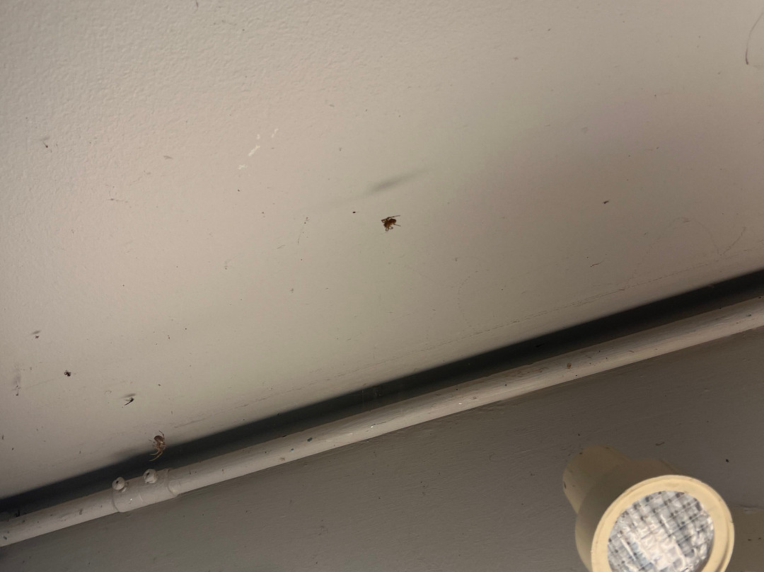 蒙克顿温德姆Travelodge套房酒店主图