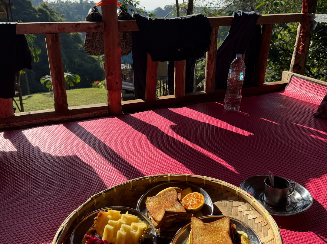 Bukit Lawang - Jungle Trekking Sumatra-武吉拉旺必去景点