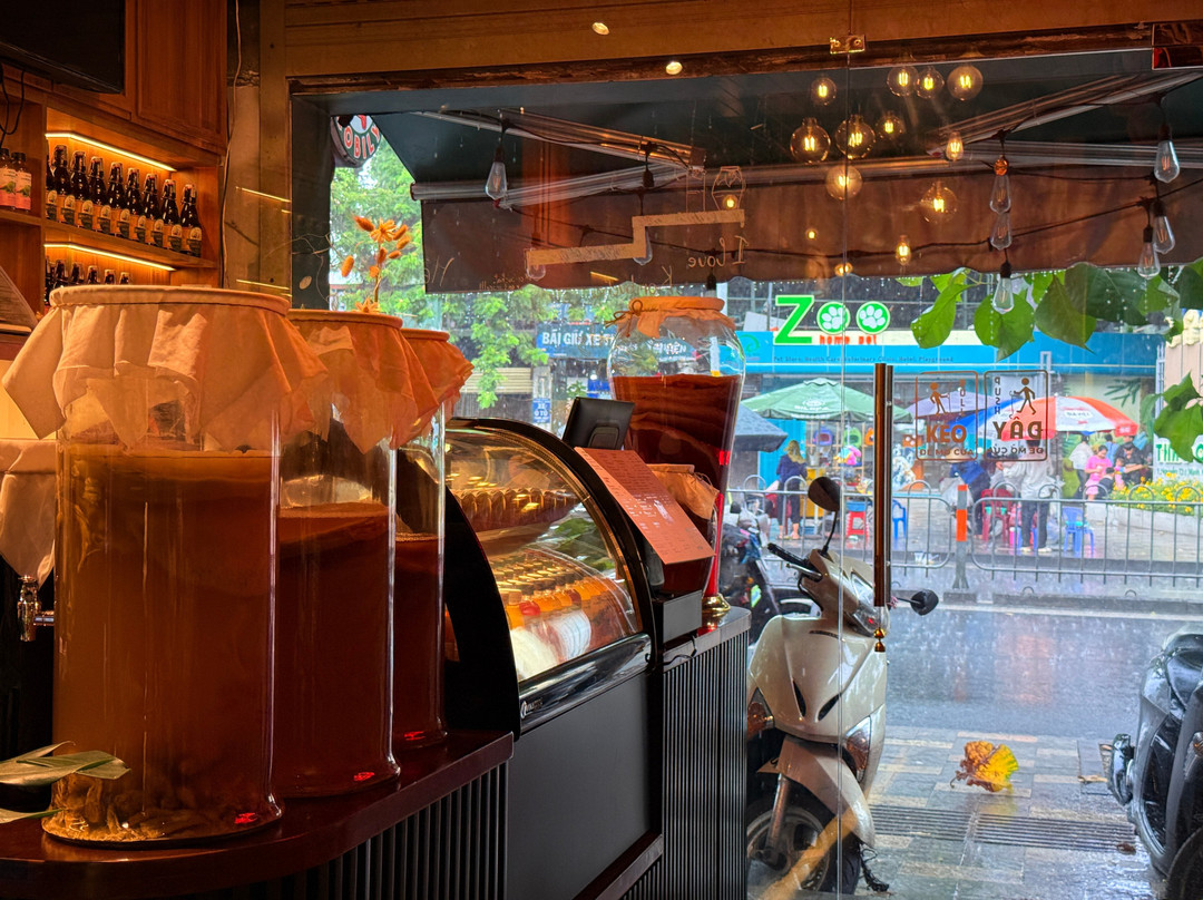 Scobily Kombucha