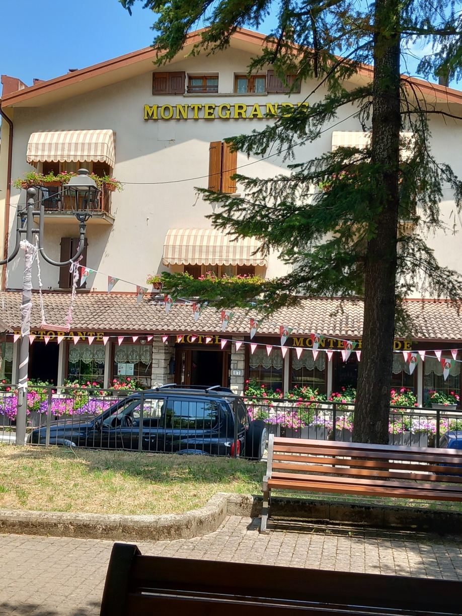 Hotel Montegrande-旅行者