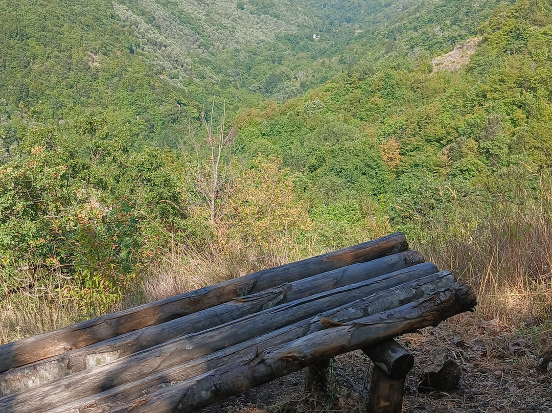 Caposele (sorgenti)-Caposele必去景点