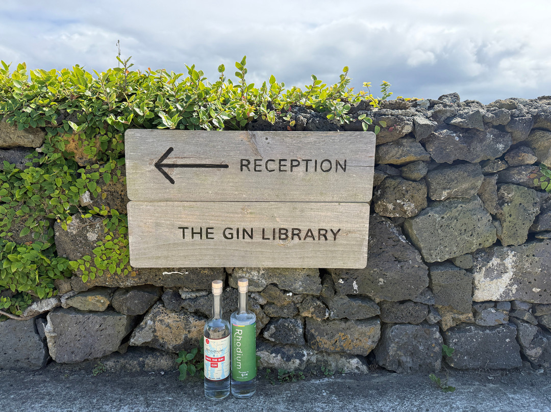 The Gin Library-蓬塔德尔加达必去景点