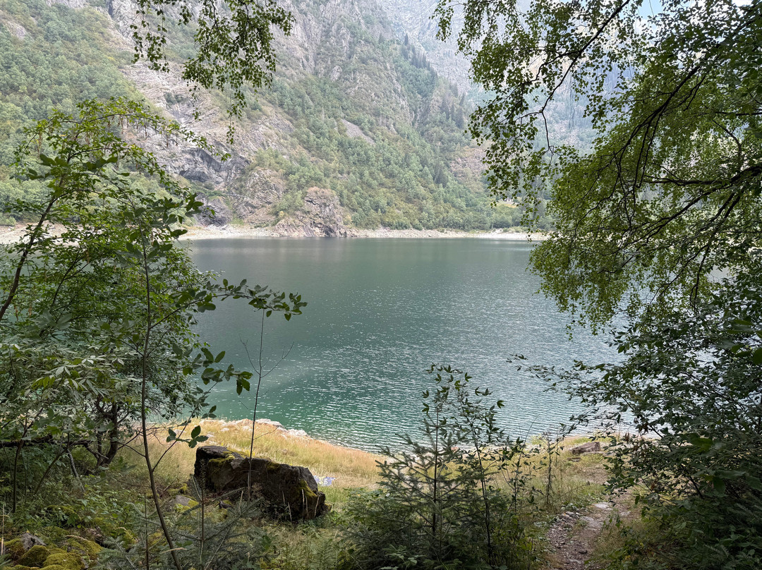 Parco Naturale dell'Alta Valle Antrona-Antrona Schieranco必去景点