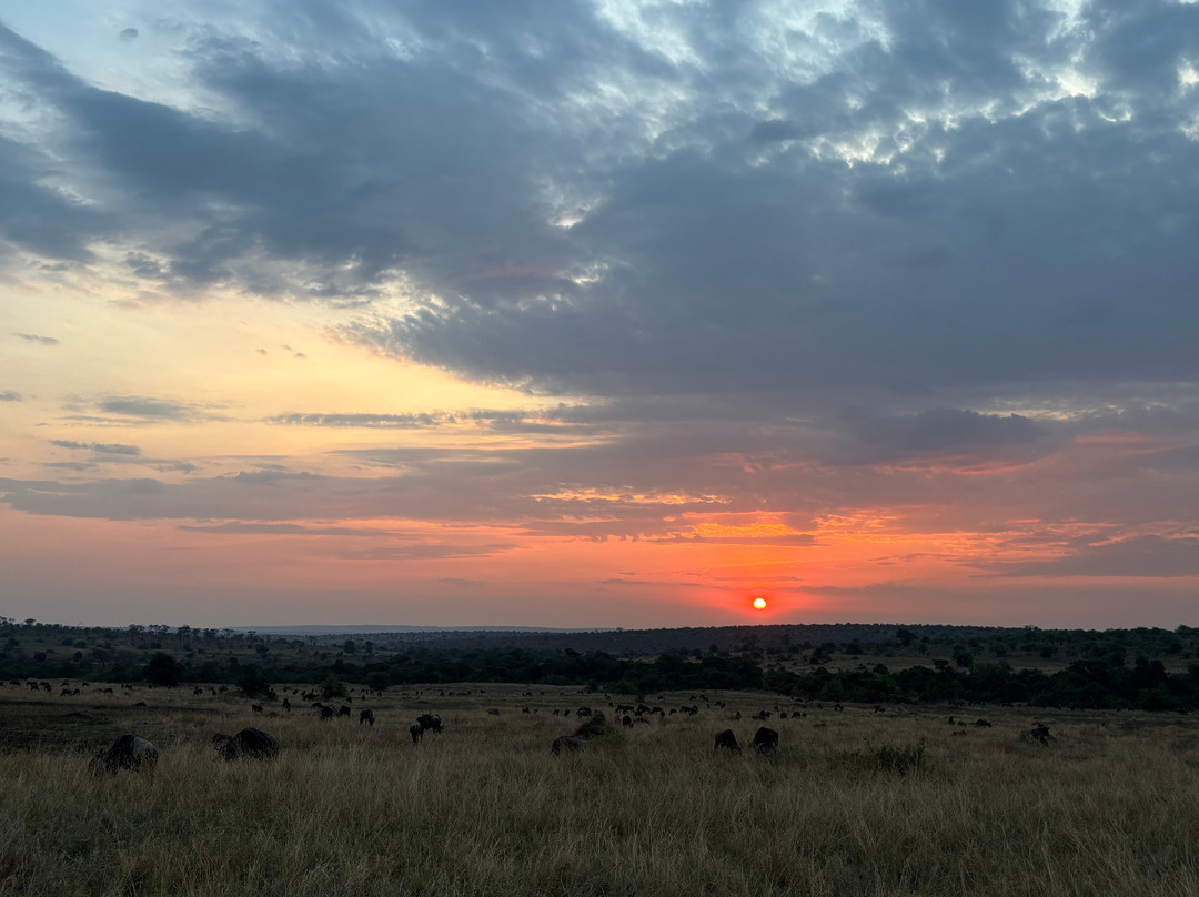 Mbuni Tented Camps-Seronera必去景点
