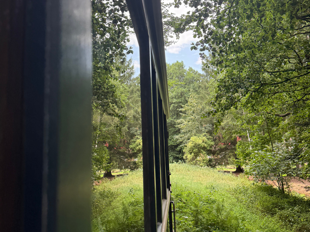 Train Forestier d'Abreschviller-Abreschviller必去景点