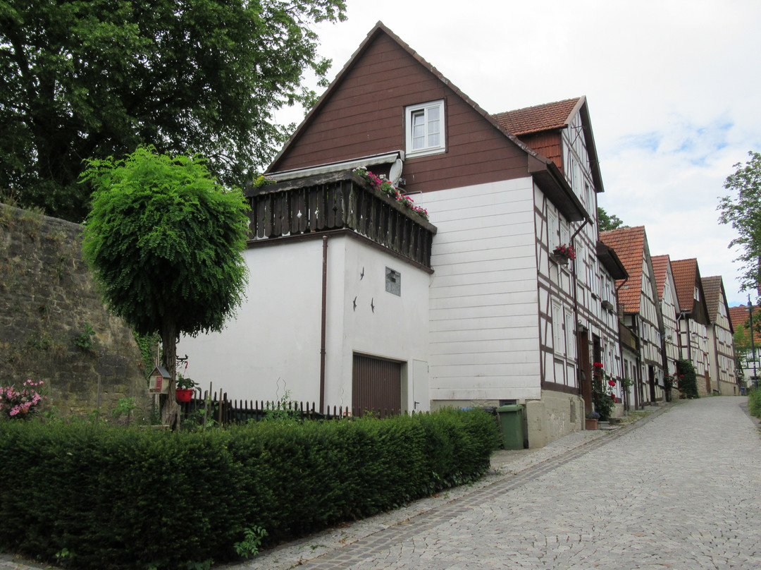 Violinenstraße-Korbach必去景点