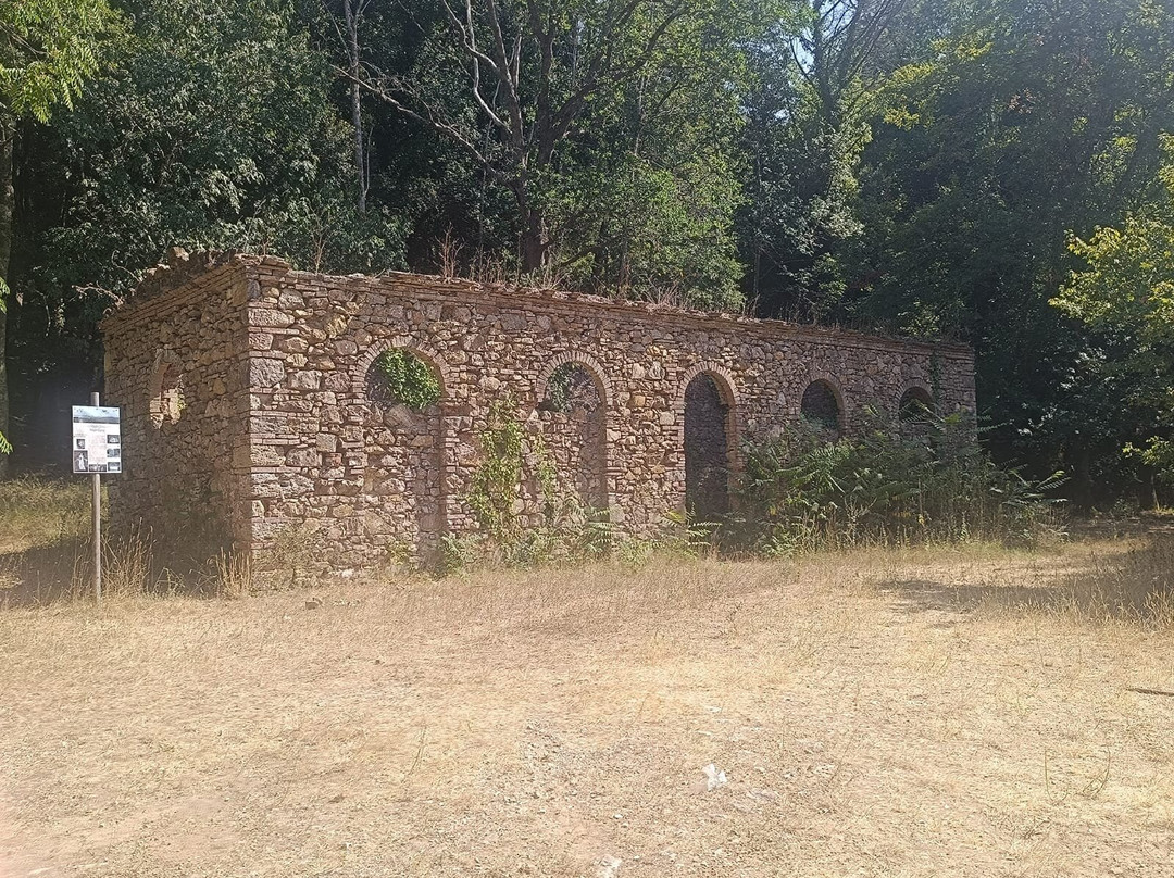 Parco Naturale di Montioni