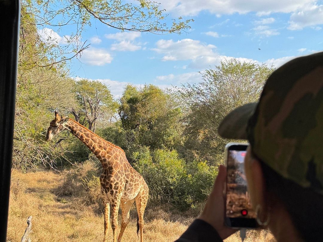 Southern Kruger Safaris-玛洛斯帕克必去景点
