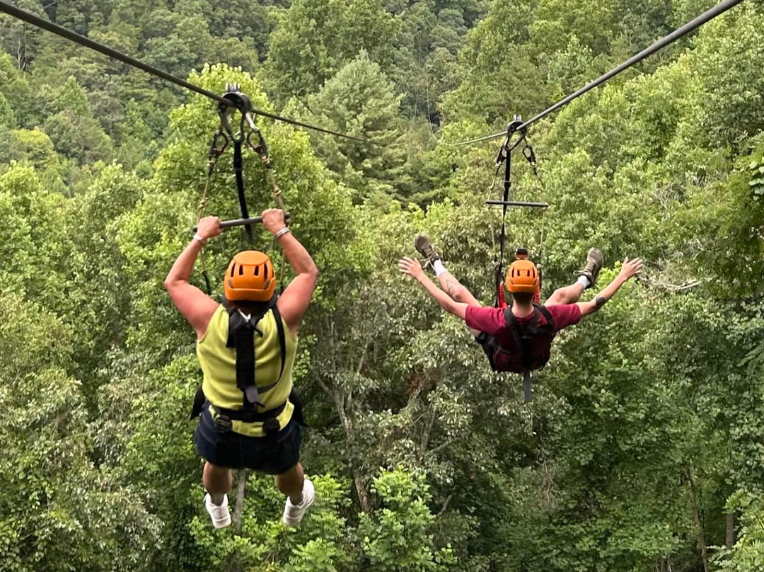Navitat Canopy Adventures-Barnardsville必去景点