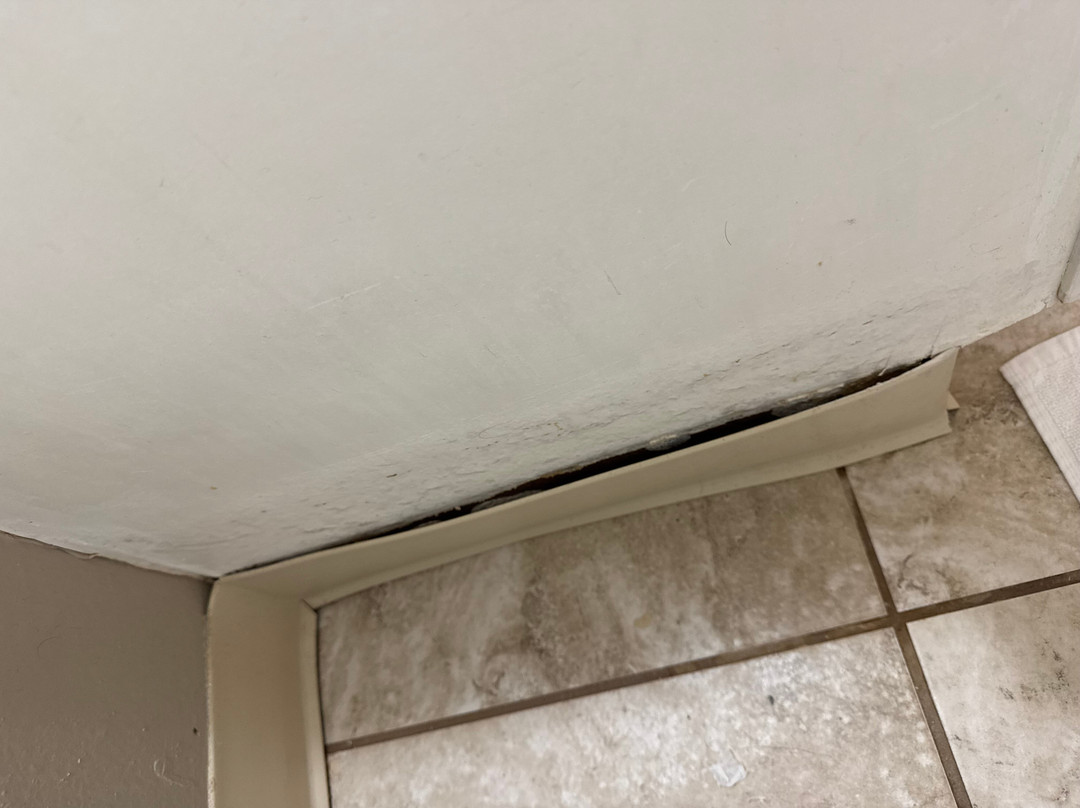 朱诺温德姆华美达酒店主图