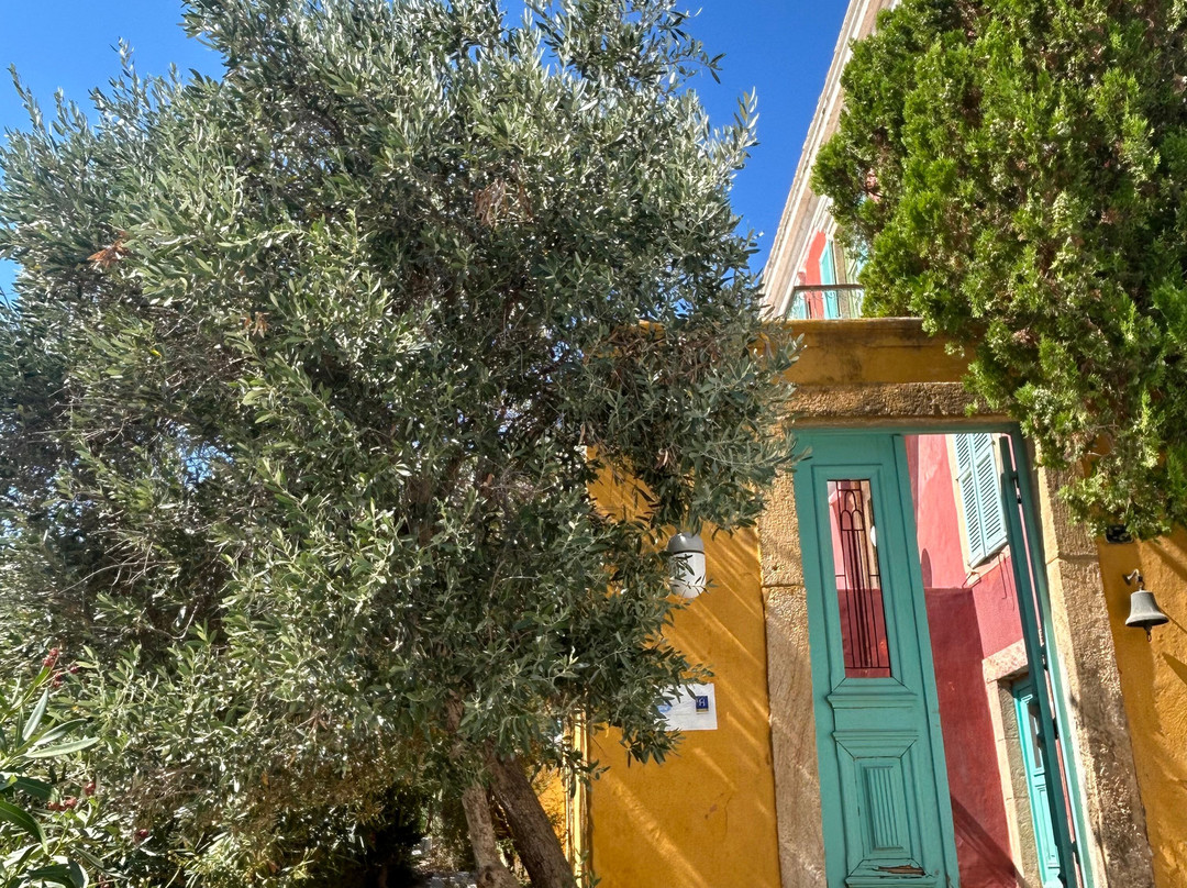 La Casa Di Colori主图