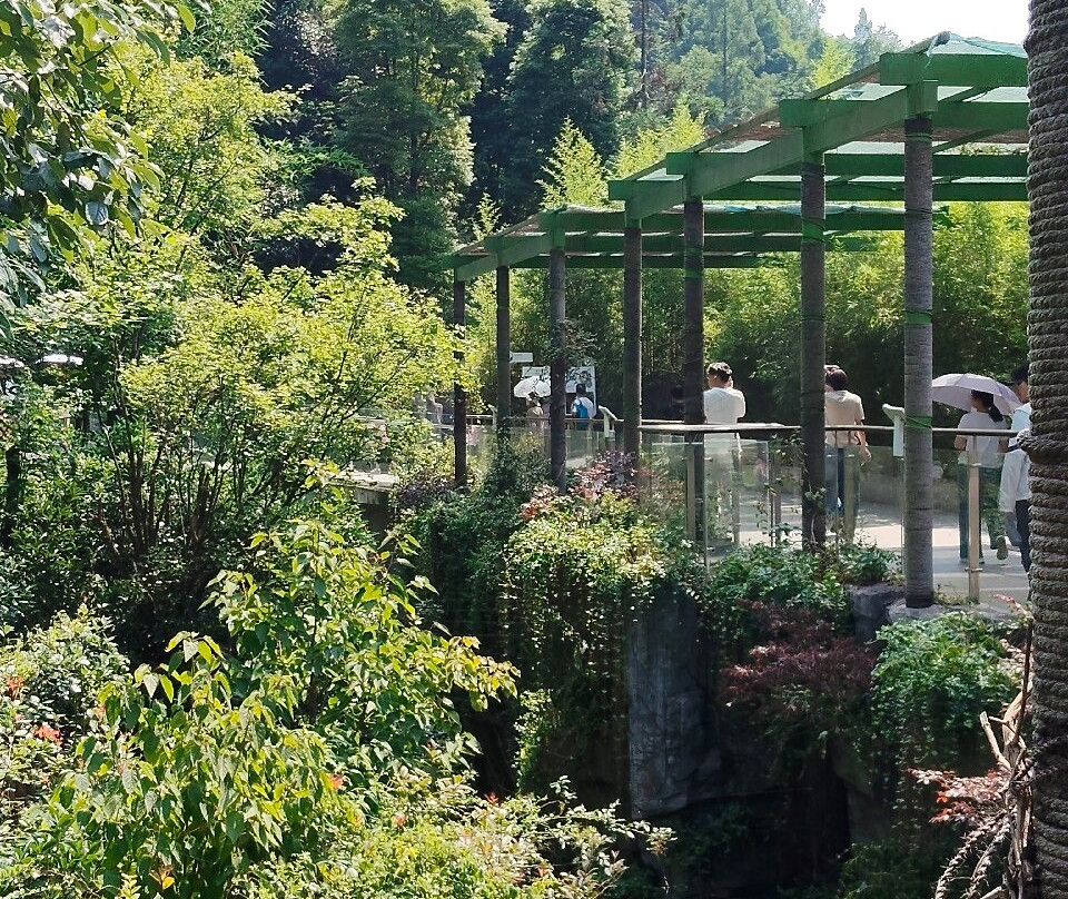 大熊猫谷-都江堰市必去景点