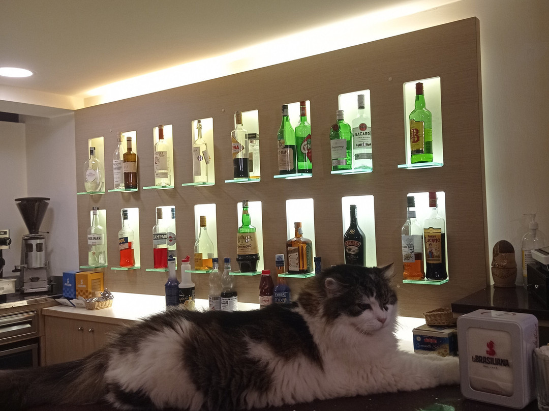 Hotel Krone主图