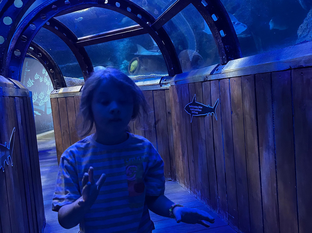 SEA LIFE Hunstanton-Hunstanton必去景点