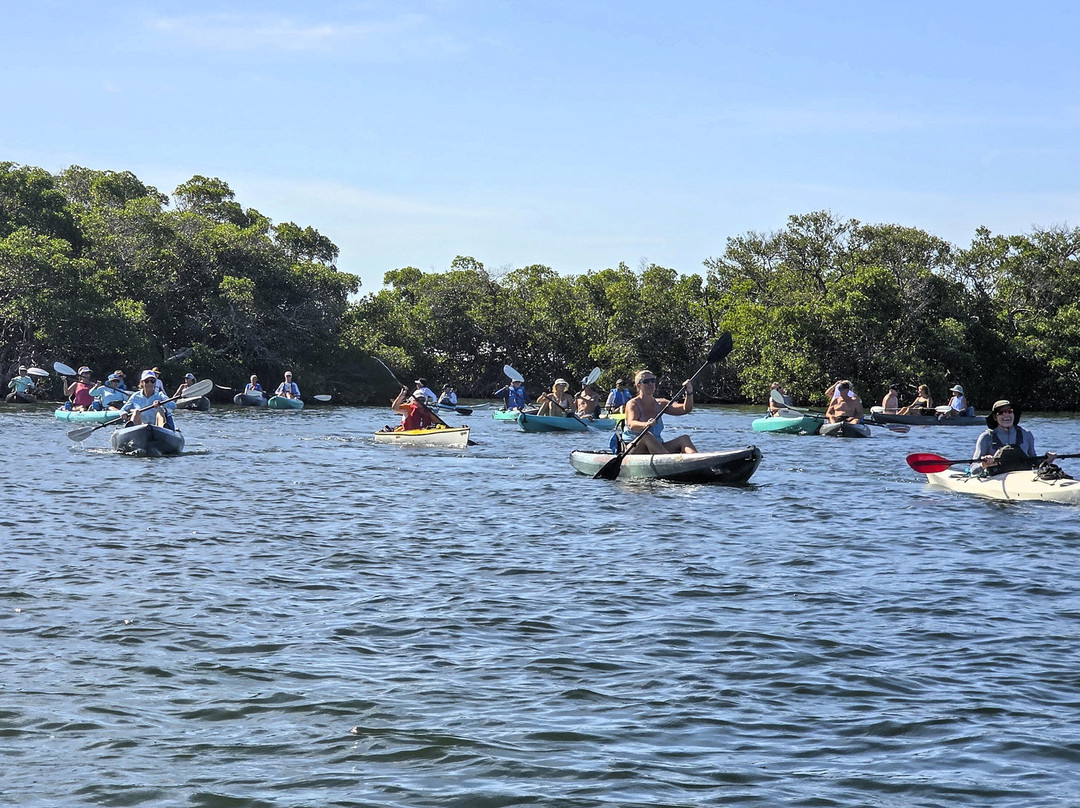 Shell Key Tour with Capt Yak-Tierra Verde必去景点