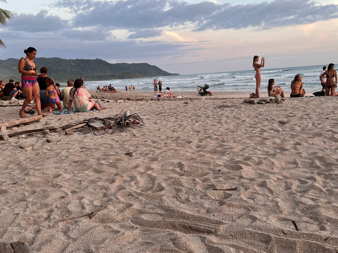 Hotel Santa Teresa by the Beach主图