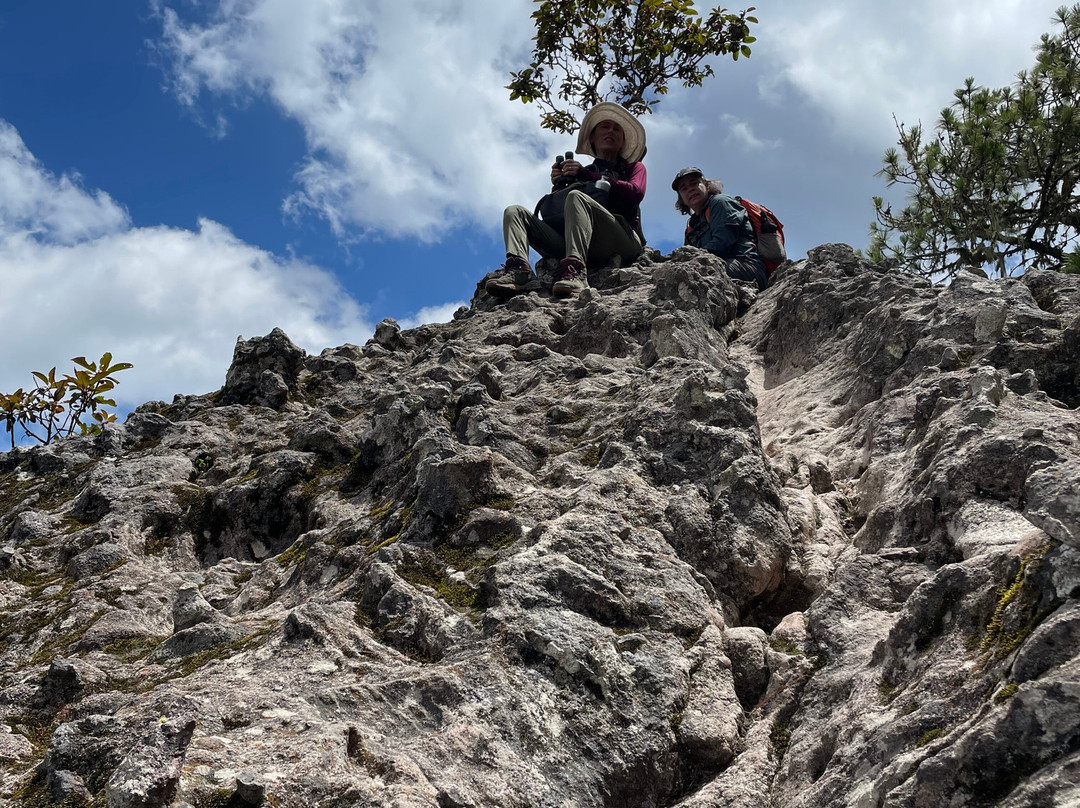 Discover Oaxaca Tours-瓦哈卡必去景点