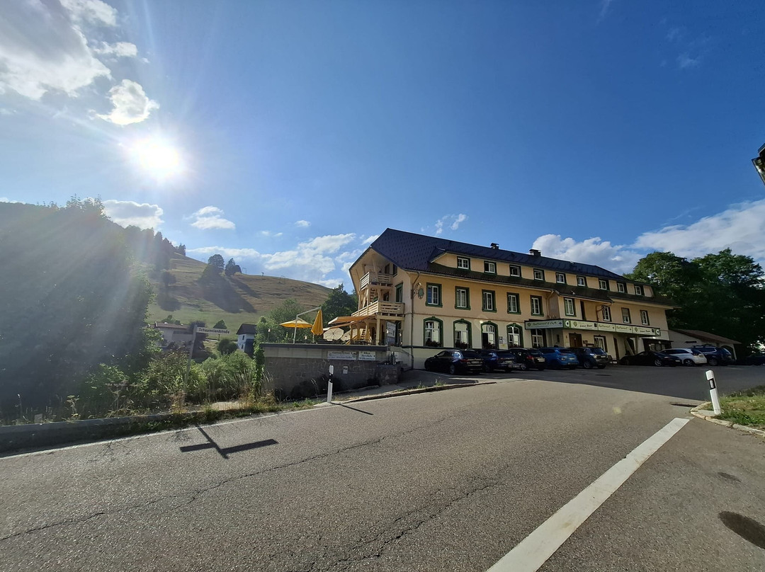 Naturparkhotel Grüner Baum自然公园酒店主图