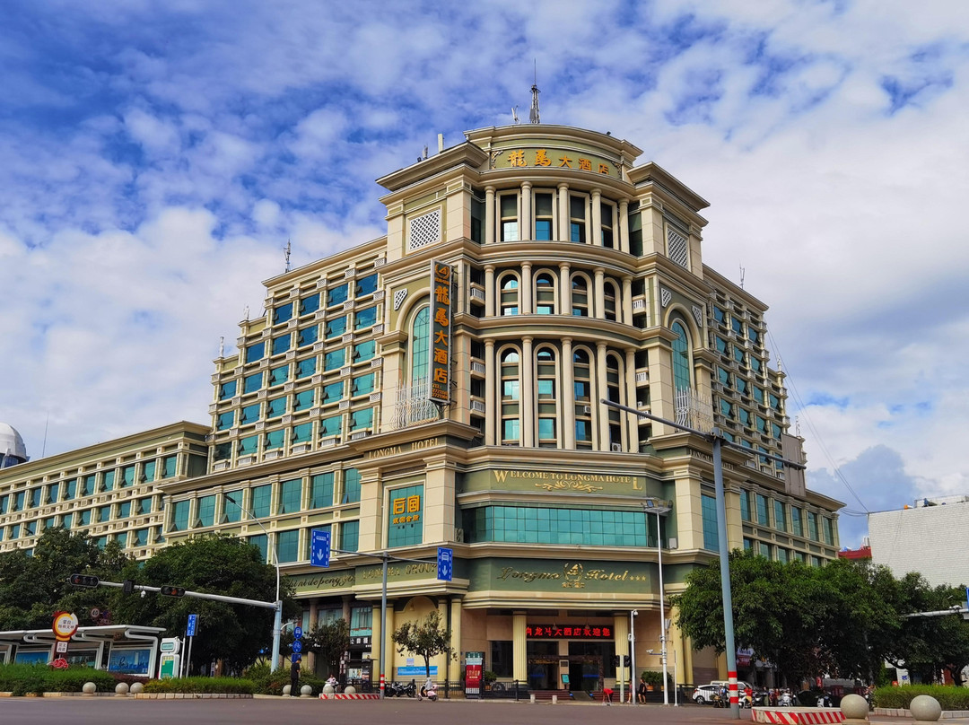蒙自龙马大酒店(红河州政府店)
