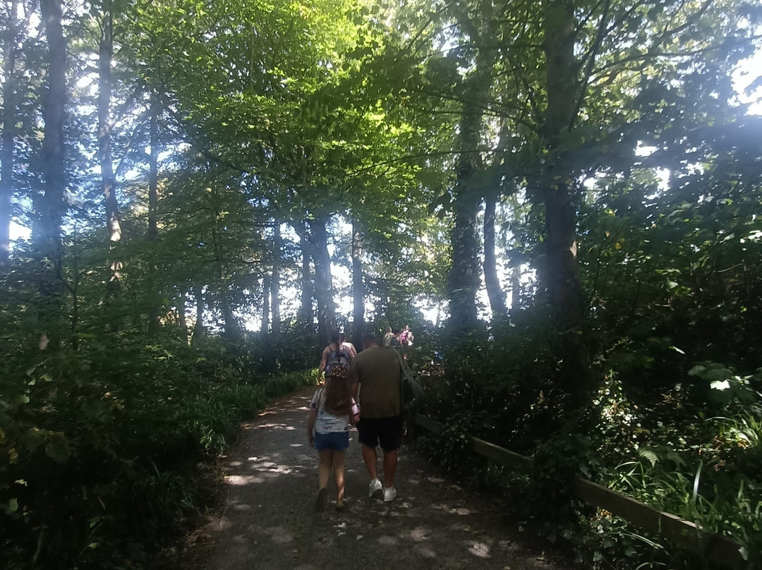 Penrhos Country Park-Holyhead必去景点