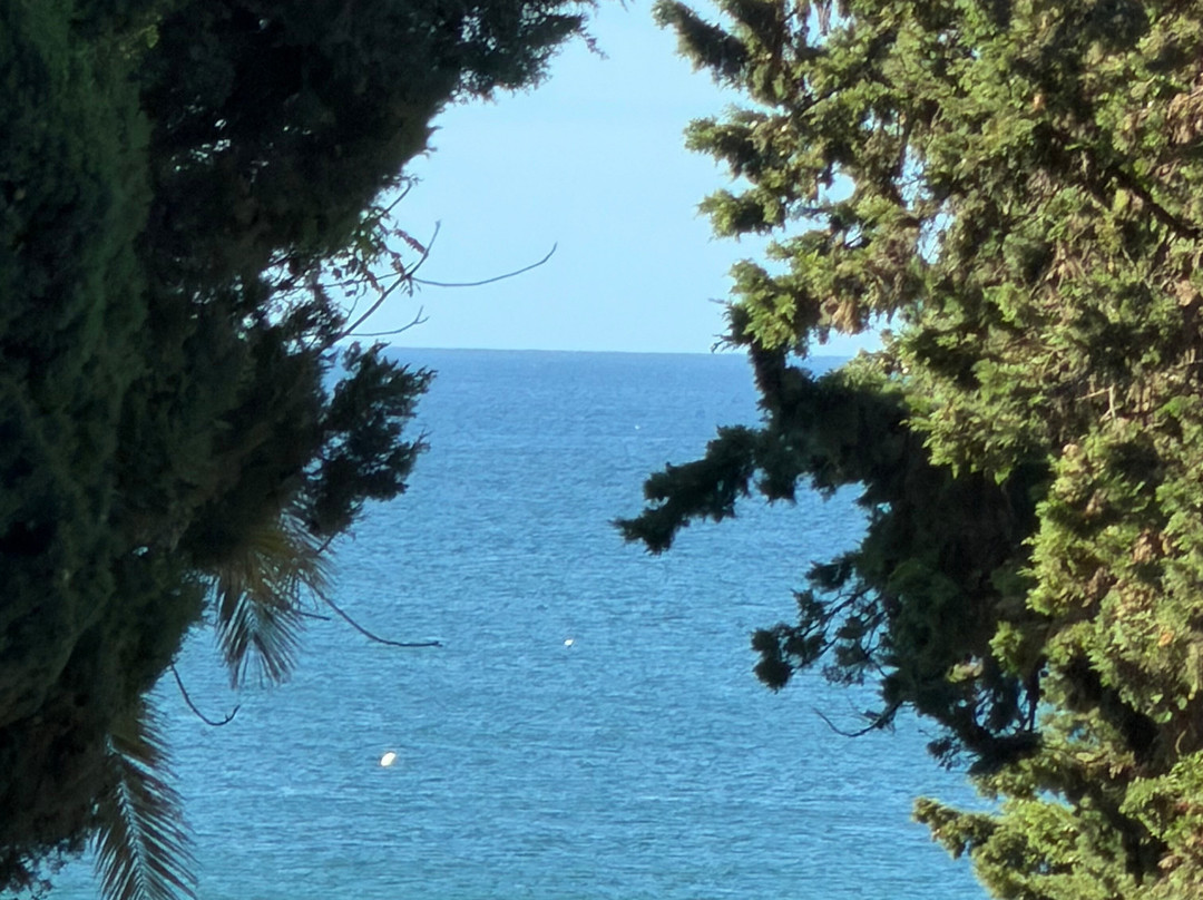 Praia Da Oura-阿尔布赞拉必去景点