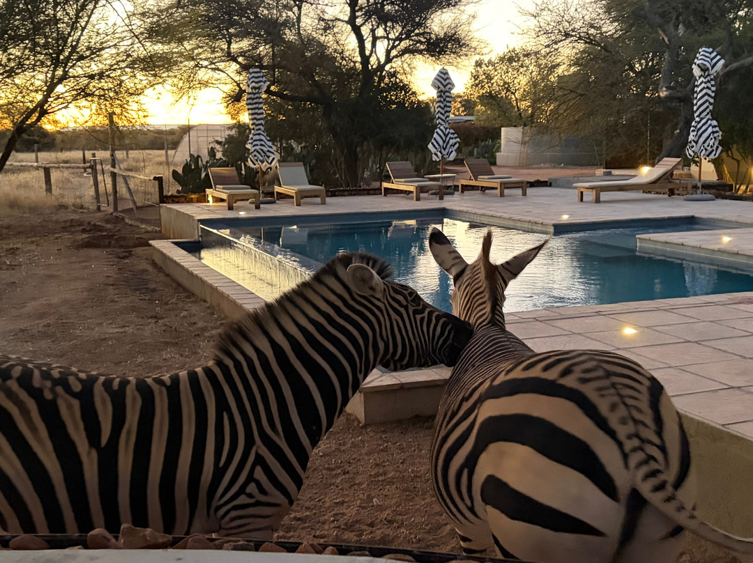 Avenir Safari Group