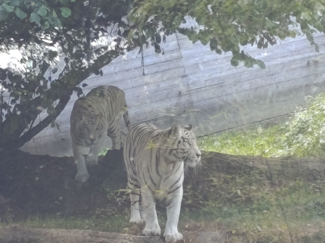 ZooParc de Trégomeur-Tregomeur必去景点