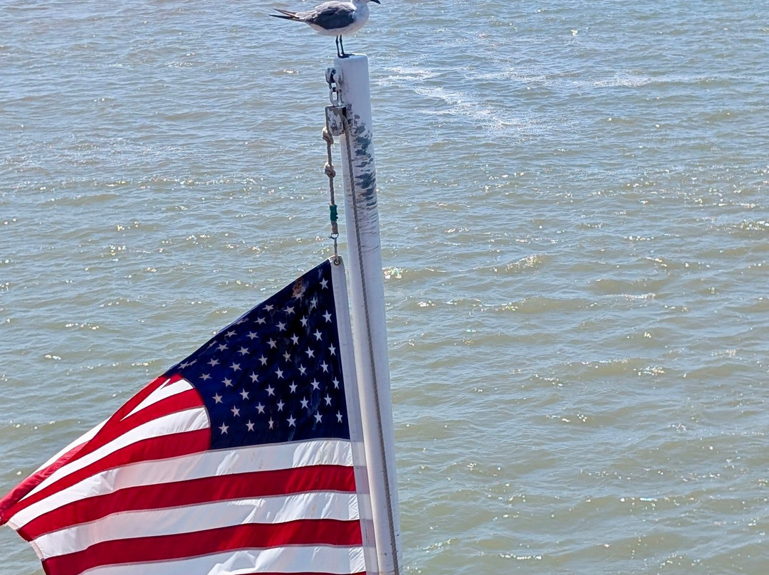 Galveston - Port Bolivar Ferry-盖维斯顿必去景点