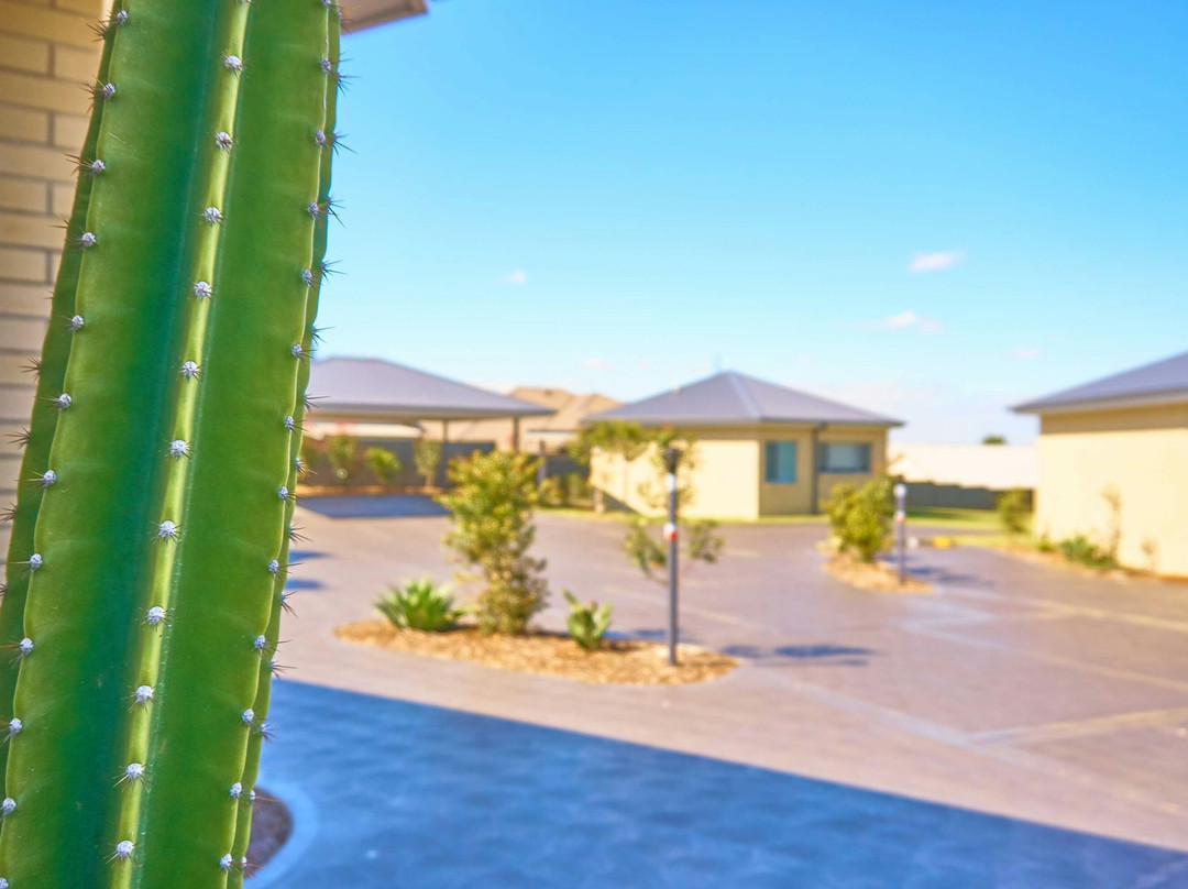 莫佩斯酒店住宿-Hunter Morpeth Motel & Villas