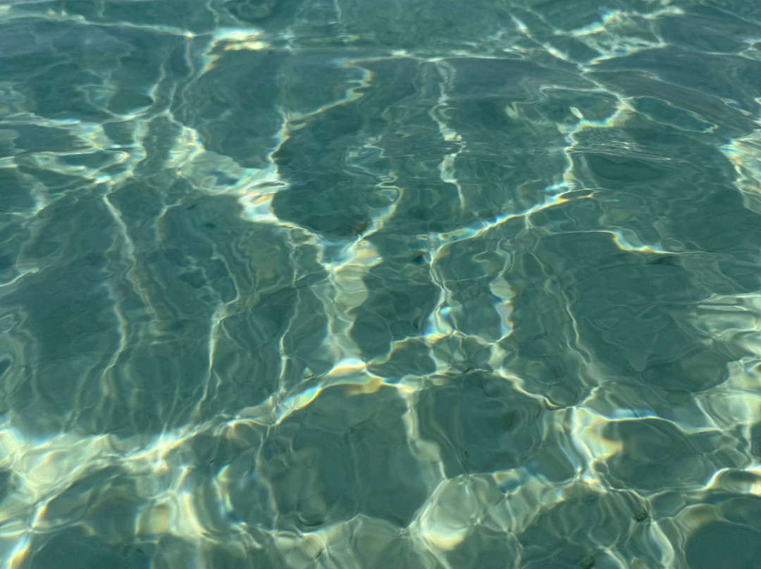 Negm Tours-Hurghada 2必去景点