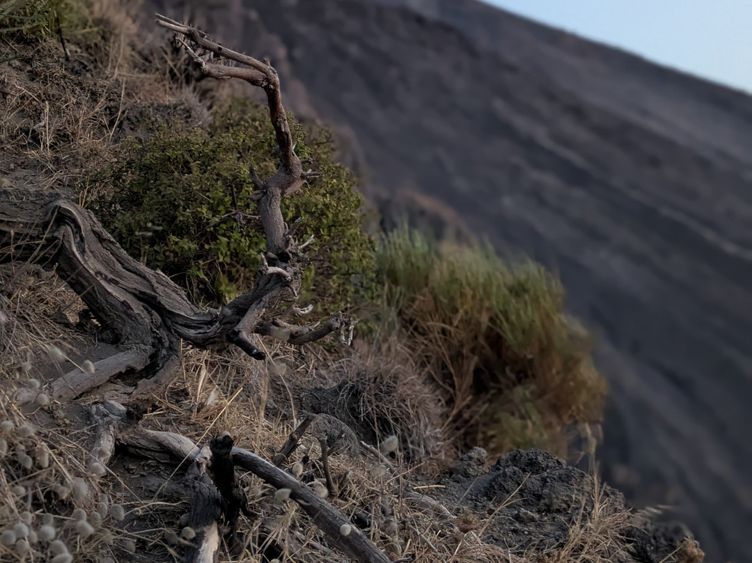 The Volcano Walking