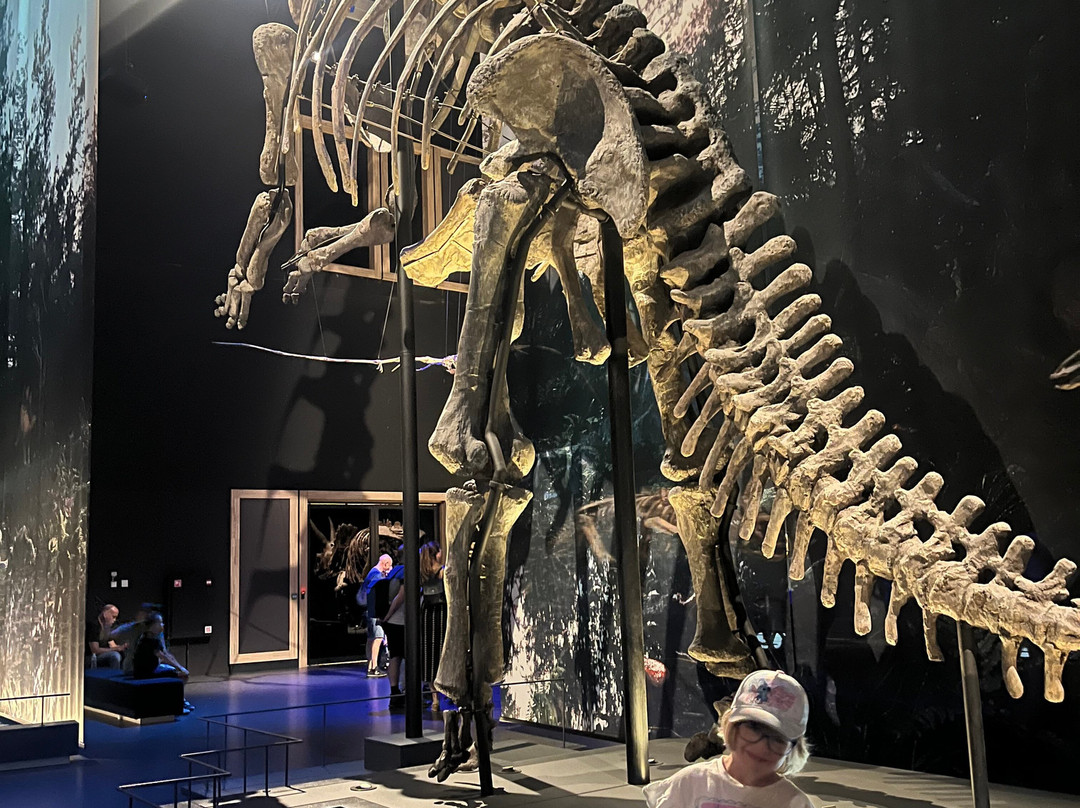 Naturalis Biodiversity Center-莱顿必去景点