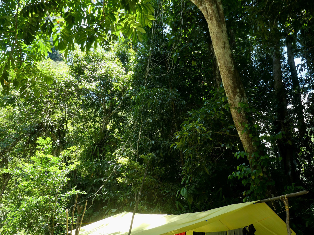 Rudy Ketambe Sumatra Jungle Trekking-Ketambe必去景点